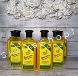 XHC Banana Shampoo 400ml x 6 Sleek Shiny Hair Paraben Free Hair Care Ladies