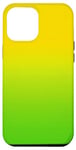 Coque pour iPhone 13 Pro Max Dégradé de couleur vert et jaune