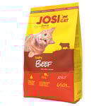 JosiCat Tasty Beef med nötkött - Ekonomipack: 2 x 650 g