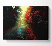 Red Trees On The Autumn path Canvas Print Wall Art - Double XL 40 x 56 Inches