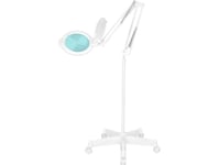 Activeshop Lampa Lupa Led Glow Moonlight 8013/6"" White Ze Statywem