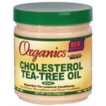 Africa's Best Organics Cholesterol Tea-Tree Oil Leave In Conditioner 15oz