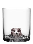 Kosta Boda New Friends Tumbler Bear 46 Cl Nude