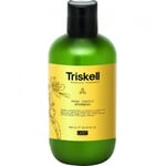 Triskell Botanical Treatment Deep Repair Shampoo, 300ml