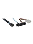 Inter-Tech Kabel SFF 8643 -> 4x 8482 SATA Power