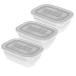 Rotho Freeze Lot de 3 bocaux à congélation de 1l avec couvercle, Plastique (PP) sans BPA, transparent, 3 x 1l (19.5 x 13.5 x 10.0 cm)