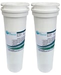 2x Compatible fridge water filter for Fisher and Paykel 836848 836860 67003662