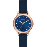 Fossil Ladies Laney Watch BQ3858