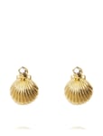 Petite Shell Earrings Accessories Jewellery Earrings Studs Gold Caroline Svedbom