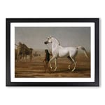 Big Box Art Jacques-Laurent Agasse The Wellesley Grey Arabian Framed Wall Art Picture Print Ready to Hang, Oak A2 (62 x 45 cm)