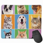 Cute Various Dog and Cat Mouse Pad with Stitched Edge Computer Mouse Pad with Non-Slip Rubber Base for Computers Laptop PC Gmaing Work Mouse Pad