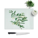 Big Box Art Green Olive Tree by Pierre-Joseph Redoute Toughened Glass Chopping Board Kitchen Worktop Saver Non-Slip, 39 x 28.5 cm, CHOPLRG-2039