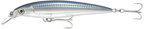 Rapala X-Rap Saltwater Lure with Two No. 2 Hooks, 1.2-2.4 m Swimming Depth, 12 cm Size, Baitfish