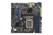 ASUS P13R-M/10G-2T - moderkort - micro ATX - LGA1700-uttag - C262
