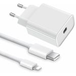 Chargeur PD Rapide 20W + Cable Lightning vers USB C 1M Pour iPhone 12 / 12 Pro / 12 mini / 12 Pro Max / 11 / XR/ X / SE 2020 / 8