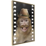 Plakat - Monkey In Hat - 20 x 30 cm - Guldramme