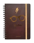 Harry Potter 2019-2020  Academic Diary, Organiser, Calendar, Agenda. Week To View Twin Wire Spiral Binding Mid Year Student Daily Planner. Runs From August 2019 Until July 2020 - 12 Months.