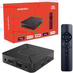 IRL-Mini boîtier Smart TV Q5,Allwinner H313,2 Go/8 Go,lecteur multimédia décodeur connecté Android 2.4,avec WiFi 100/5 GHz et Bluetooth,10.0 Mo,4K HDR - Type 2G8G #A