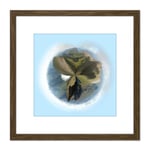 Little Planet Effect An Teallach Scotland Panorama View Photo 8X8 Inch Square Wooden Framed Wall Art Print Picture with Mount