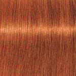 Professional Igora Vibrance Kit 7-77 Medium Blonde Copper Extra
