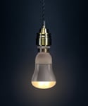 4 Pack Philips 20W R80 Reflector Light Bulbs E27 ES Energy Saving 10 year Life 