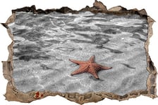 pixxp Rint 3D WD s4179 _ 62 x 42 Calme étoile de mer dans l'eau glasklaren percée 3D Sticker Mural Mural en Vinyle Noir/Blanc 62 x 42 x 0,02 cm