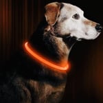 Prylex Hundhalsband LED - Justerbart -  Orange (Färg: Orange)