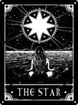 Deadly Tarot Mini Tin Sign The Star Black 15x20cm