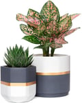 Mkouo Ceramic Planters 12.7cm and 16cm Indoor Flower Plant Pot Set of 2 Geometric Gardening Pots with Drainage for All House Plants, Herbs, Gold and Grey Detailing (Plants NOT Included)