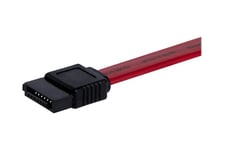 StarTech.com 12in SATA Serial ATA Cable - SATA cable - Serial ATA 150/300 - SATA (F) to SATA (F) - 1 ft - red - SATA12 - SATA-kabel - 30.5 cm