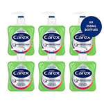 Carex 2 Hour Protection Antibacterial Aloe Vera Hand Wash Added Natural Moist...