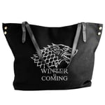 Song of Ice and Fire Game of Thrones Portable Travel Shoe Bags Shoe Organizer Space Saving Storage Bags 12.9x18 inch
