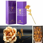 TINYOUTH 24k Golden Rose, 24K Gold Plated Rose Flower with Gift Box and Bag for Lover Mother Friends, Valentine's Day, Mother's Day, Thanksgiving, Birthday, Christmas