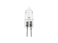 OMNILUX JC 12V/7W G-4 2000h, Omnilux JC 12V / 7W G-4 2000h