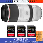 Canon RF 100-500mm f/4.5-7.1L IS USM + 3 SanDisk 64GB UHS-II 300 MB/s + Guide PDF '20 TECHNIQUES POUR RÉUSSIR VOS PHOTOS