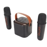(Black)Mini Karaoke Machine Set Wireless Speaker With 2 BT Microphone