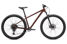 Specialized Specialized Rockhopper Expert 29 | Rusted Red | MTB 29"