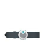 Animo Activity Tracker