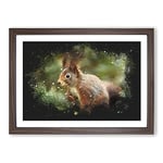 Big Box Art Red Squirrel Vol.2 Paint Splash Framed Wall Art Picture Print Ready to Hang, Walnut A2 (62 x 45 cm)