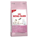 Royal Canin - Mère & Nourriture sèche pour chats Babycat 4 kg Adulte Volaille