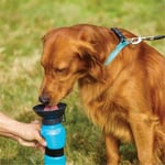 Vattenflaska Hund