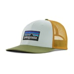 Patagonia P-6 Logo Trucker Hat - Casquette Wispy Green Taille unique