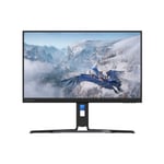 Lenovo Legion R24e - LED-skärm - Full HD (1080p) - 24"