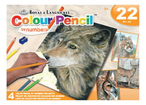 Royal & Langnickel - Peinture par numéros avec crayons de couleur, animaux sauvages, set de 4, contient des crayons à dessin et un taille-crayon, pour adultes et enfants à partir de 8 ans