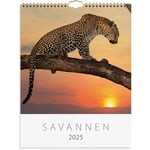 Väggkalender Burde 1761 Savannen 2025