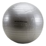 Endurance Ballon de Gym 55 cm Adulte Unisexe, Argent 8889