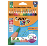 Bic Kids Evolution Triangle Ecolutions Colouring Pencils Assorted - Pack Of 12