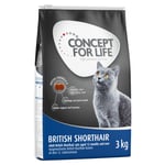 Sparpack: Concept for Life torrfoder - British Shorthair (3 x 3 kg)
