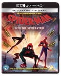 - Spider-Man Into The Spider-Verse 4K Ultra HD