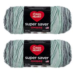 Red Heart Super Saver Lot de 2 paquets de 283 g de laine acrylique 4 moyens peignés 400 m